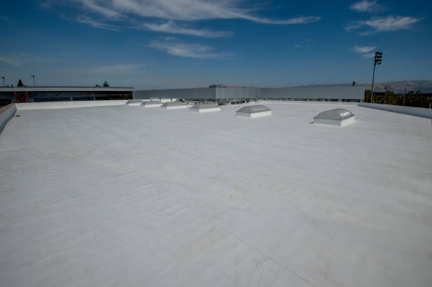 Best Emergency Roof Repair Services  in Marlette, MI