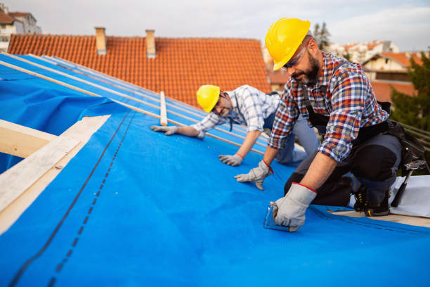 Best Roof Maintenance  in Marlette, MI